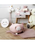 Peluche coussin chat